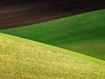 Hullámzó szántóföldi területek zöld és barna sávokkal, precíziós gazdálkodásra alkalmas termőföld.