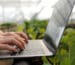 Digitális gazdálkodási napló vezetése laptopon egy üvegházban, precíziós mezőgazdasági adatelemzéssel.